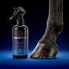 ürün fotoğrafı 2 HOOF CARE & PROTECT (Tırnak Bakım Ürünü)